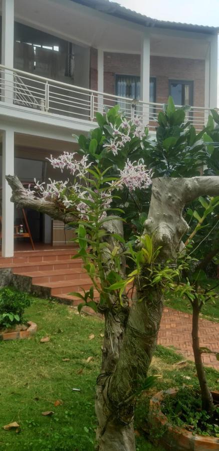 Linkin House Villa Phu Quoc Exteriör bild